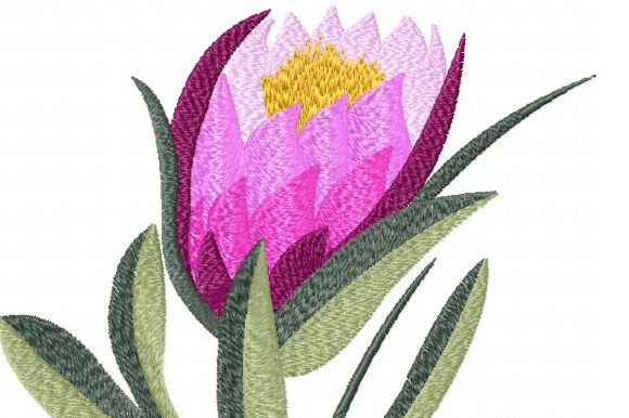 Protea Goblet Embroidery Design Review